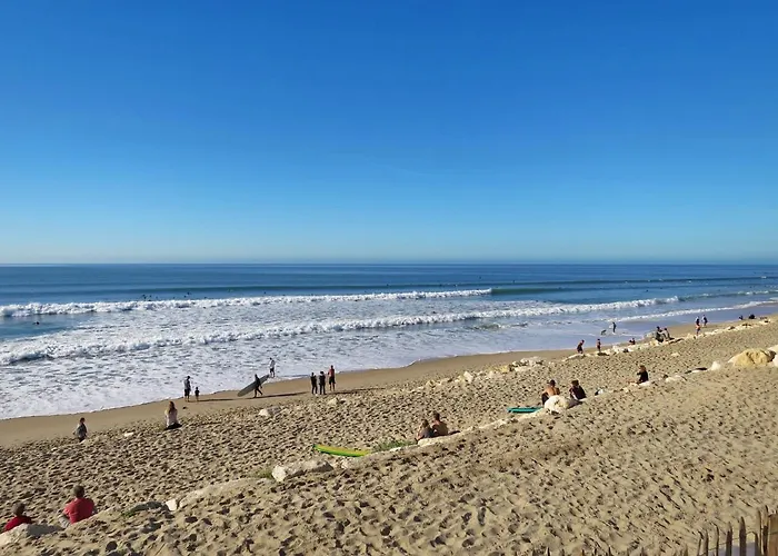 Dominique By Interhome *